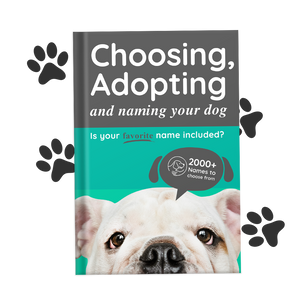 Choosing, Adopting and Naming Your New Dog Ebook