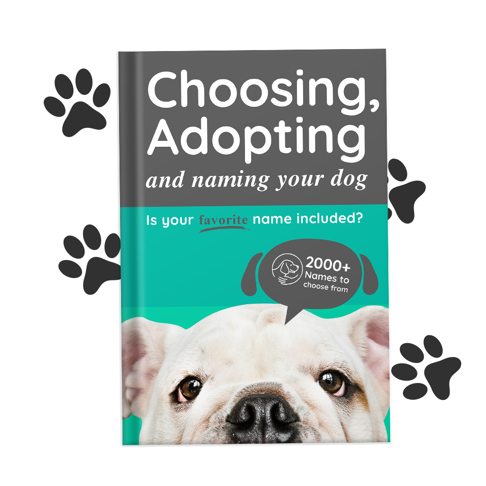 Choosing, Adopting and Naming Your New Dog Ebook